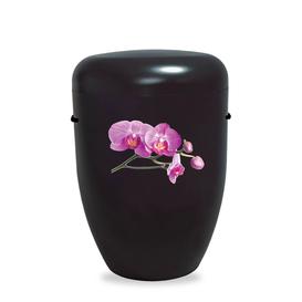 Schwarze Bio Urne mit Orchidee Motiv - Orchidee